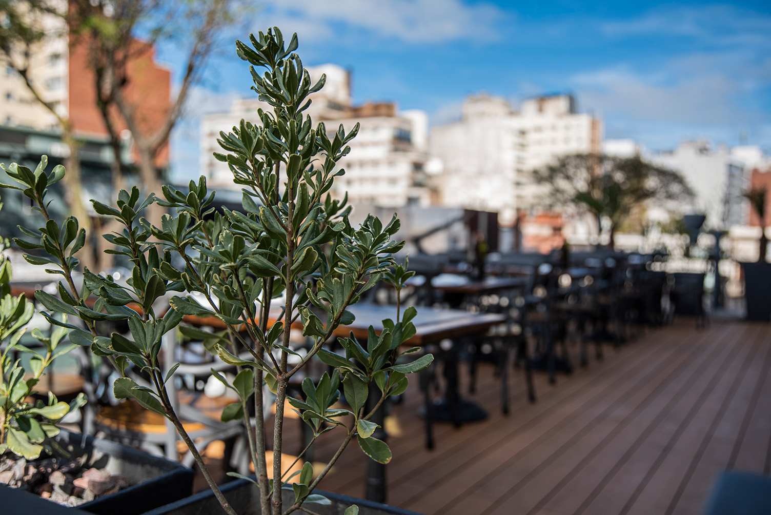 Terraza de García Punta Carretas con deck de madera, mesas al aire libre y plantas, en un día soleado en Montevideo.